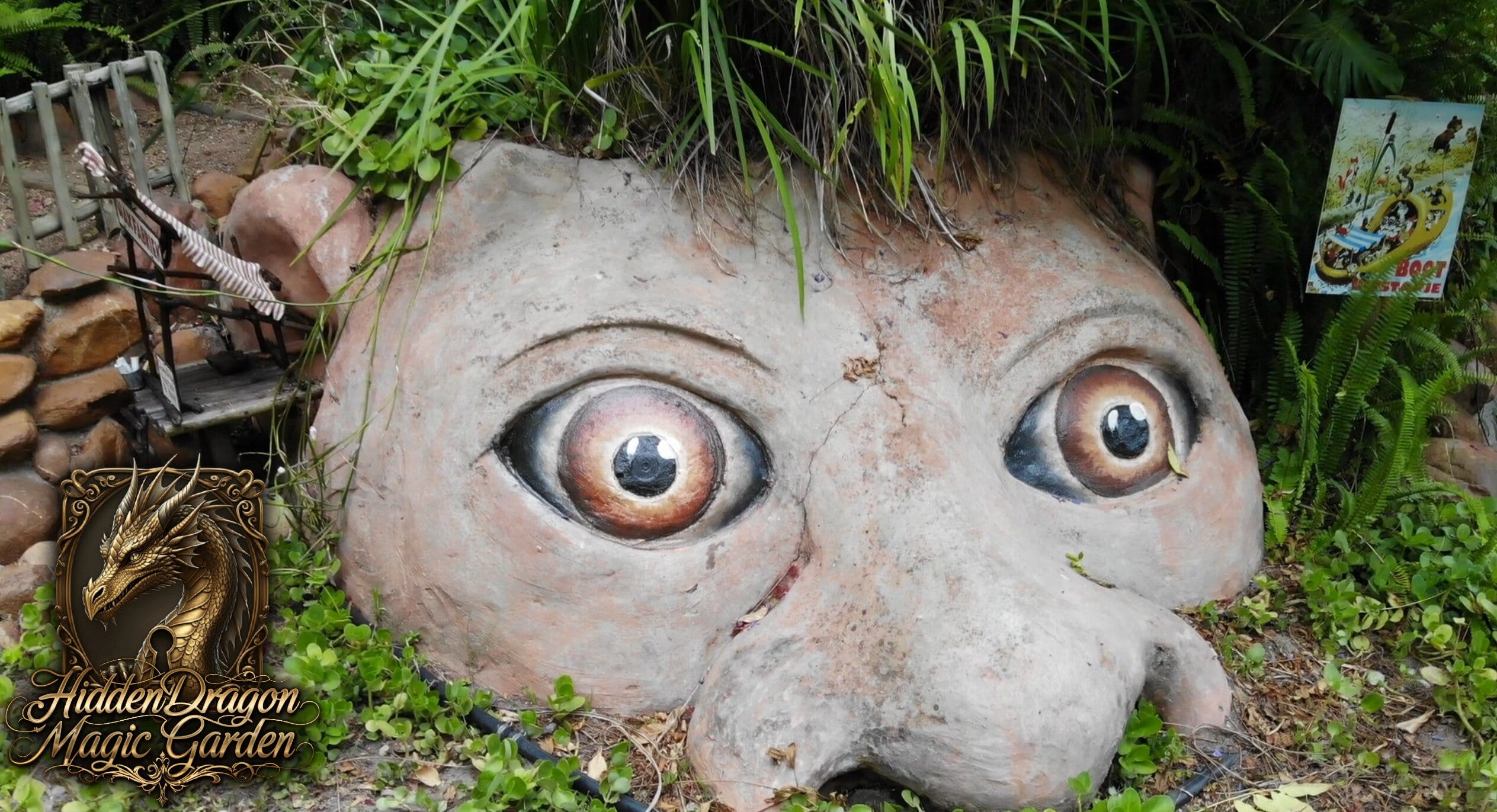 Hidden Dragon Garden 5